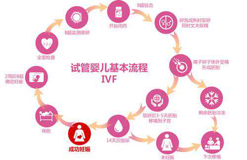 爱心试管婴儿每周精选问答