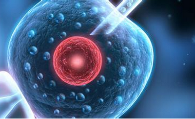 揭秘‖试管婴儿的寿命有多长? 揭秘‖试管婴儿的寿命有多长?