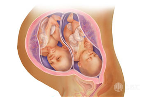 试管婴儿这项技术成功率到底有多高? 试管婴儿这项技术成功率到底有多高?