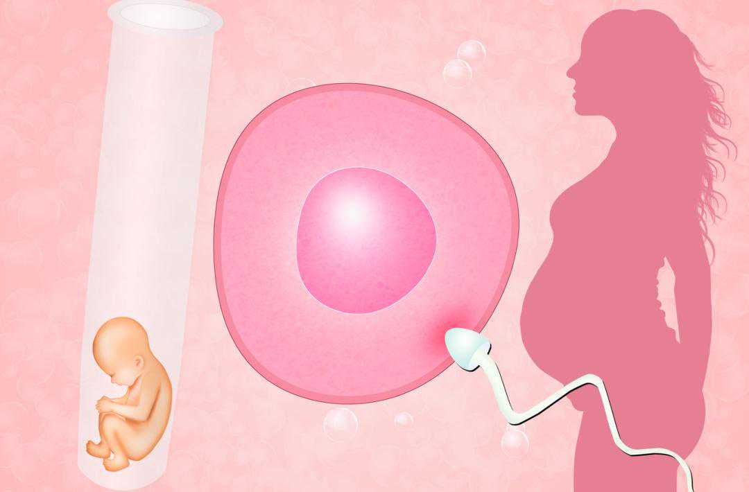 关于试管婴儿的一些常见问题有哪些？医生一次性告诉你