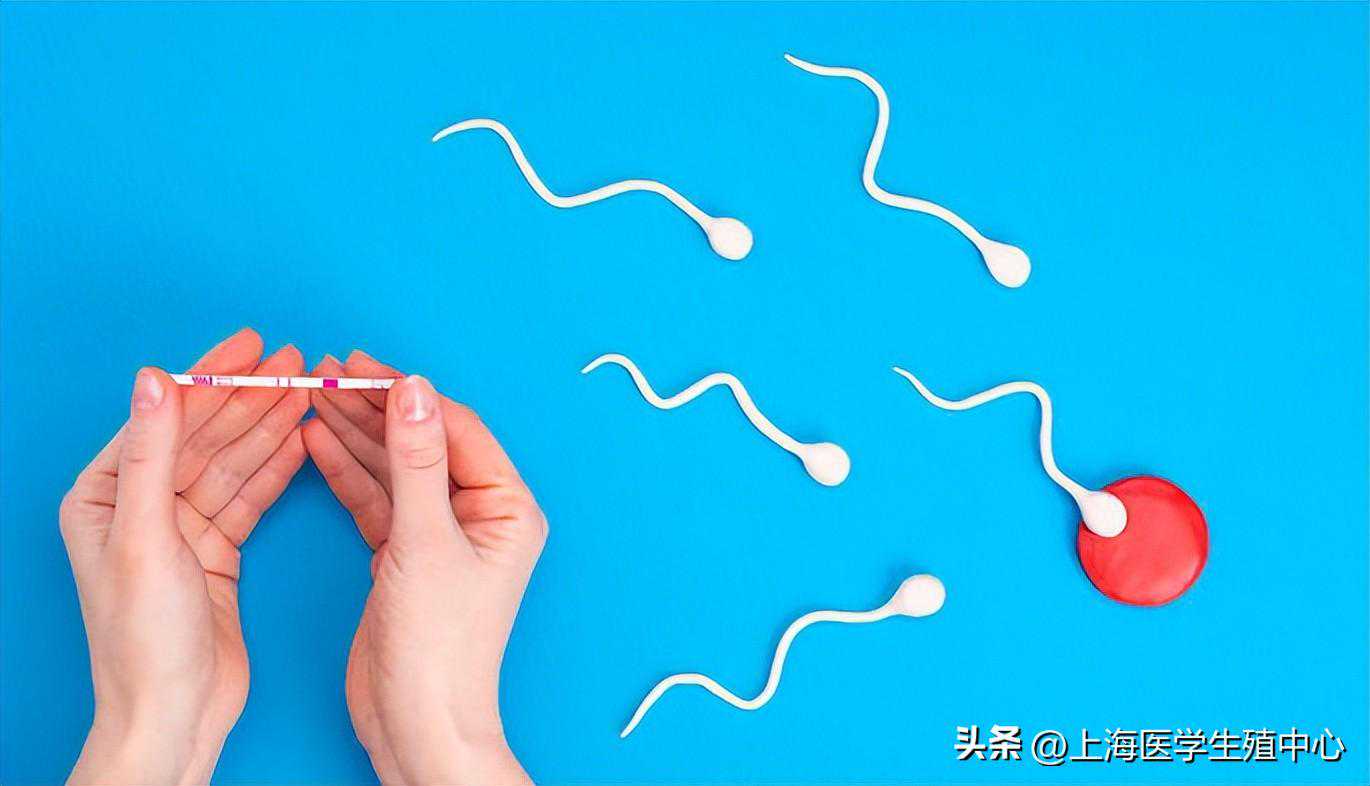 问题大合集，取卵是做试管婴儿的必经之路，收藏起来能用上