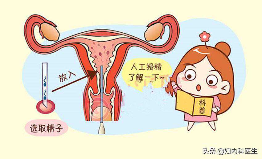 人工受精和试管婴儿有何区别？该如何选择？医生一文告诉你