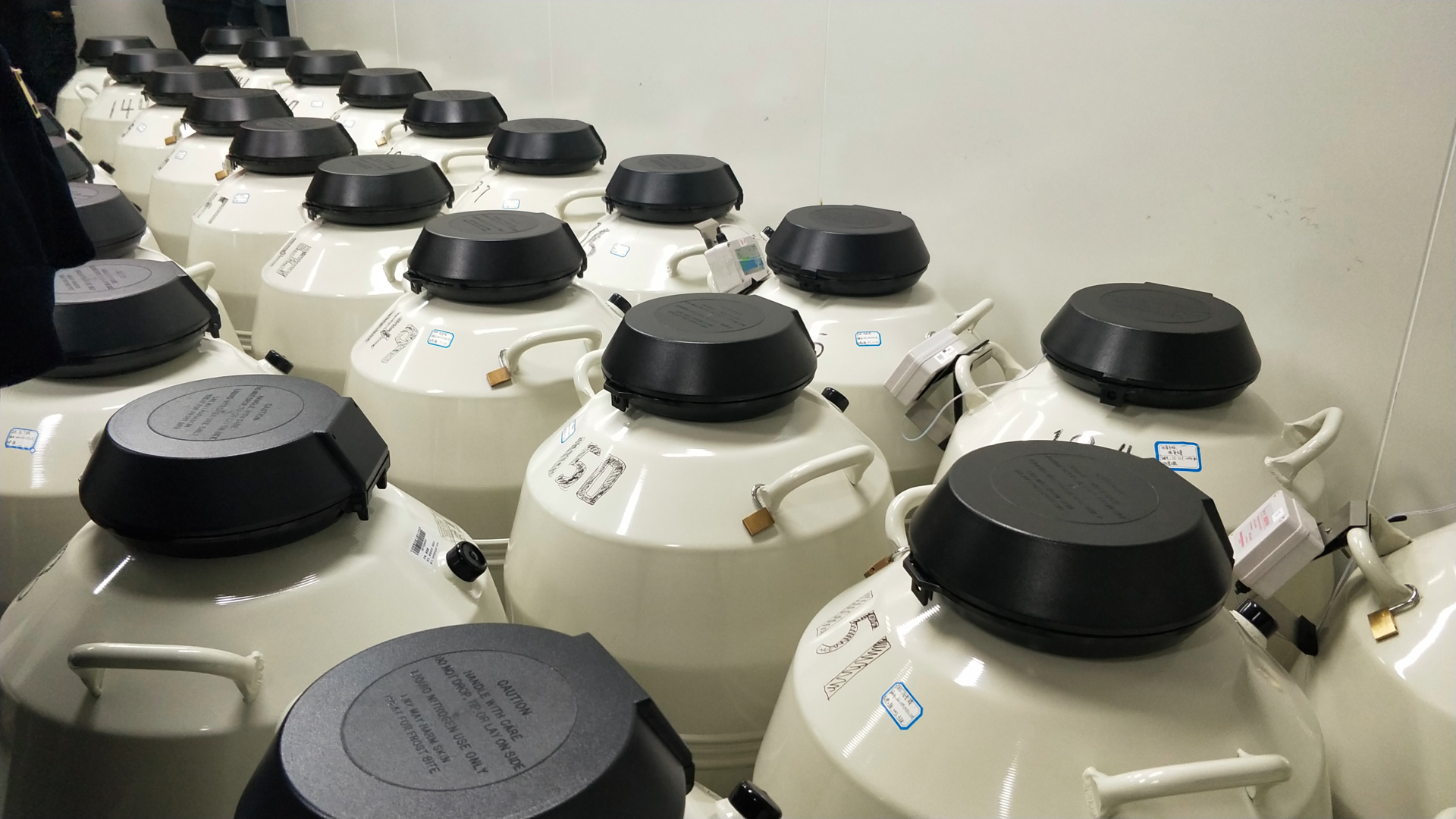 国内第一个试管婴儿诞生地，正用人工智能展开遗传学研究