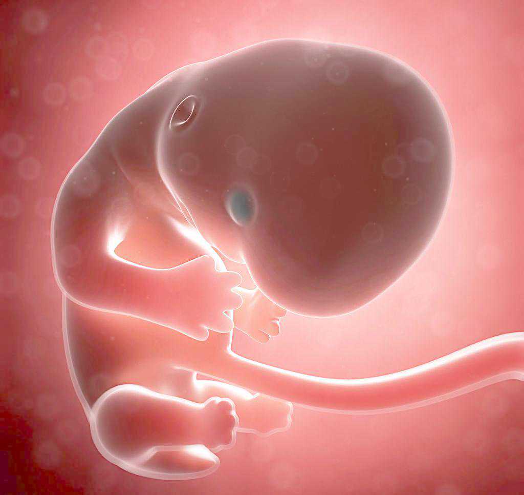 多囊备孕二胎，促排一次成功！传好孕！