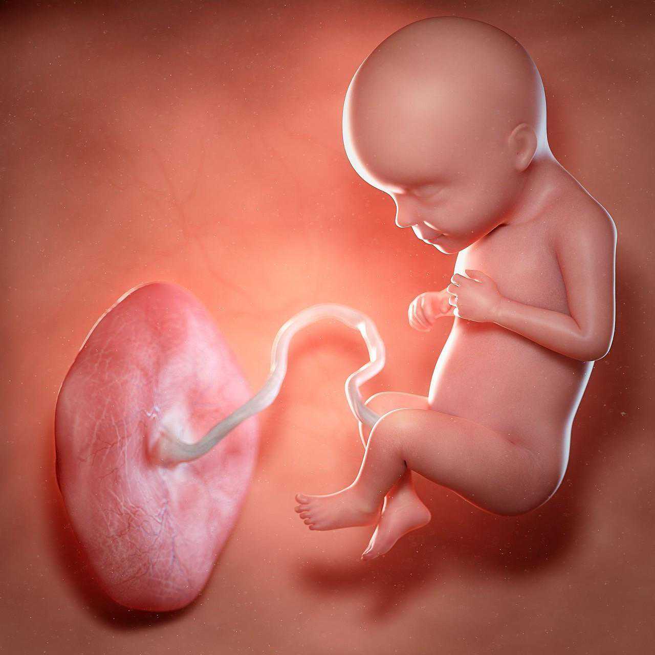 酸儿 辣女？老一辈儿的备孕误区还有哪些，你走过吗？