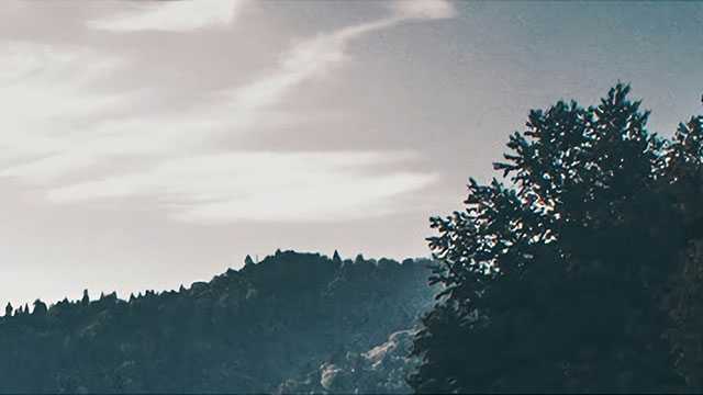 明明胚胎质量很好，为什么做试管婴儿还是失败？